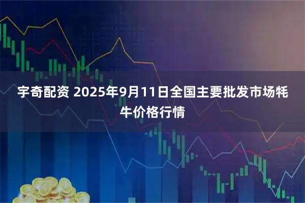宇奇配资 2025年9月11日全国主要批发市场牦牛价格行情