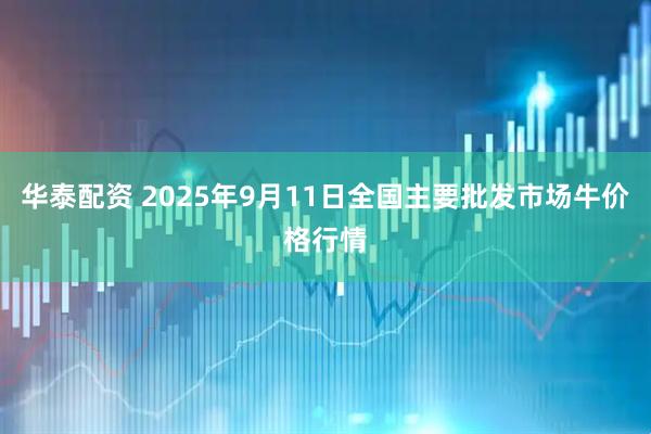 华泰配资 2025年9月11日全国主要批发市场牛价格行情