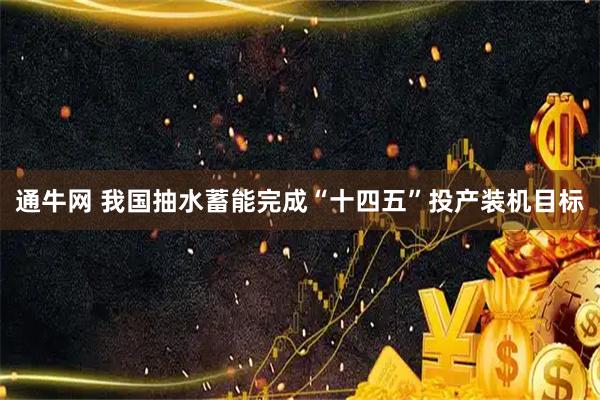 通牛网 我国抽水蓄能完成“十四五”投产装机目标