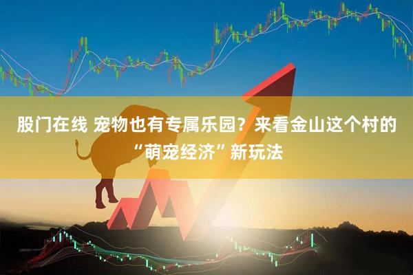股门在线 宠物也有专属乐园？来看金山这个村的“萌宠经济”新玩法