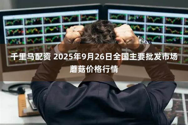 千里马配资 2025年9月26日全国主要批发市场蘑菇价格行情