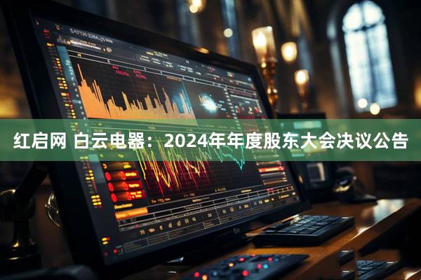 红启网 白云电器：2024年年度股东大会决议公告