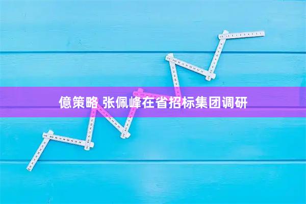 億策略 张佩峰在省招标集团调研