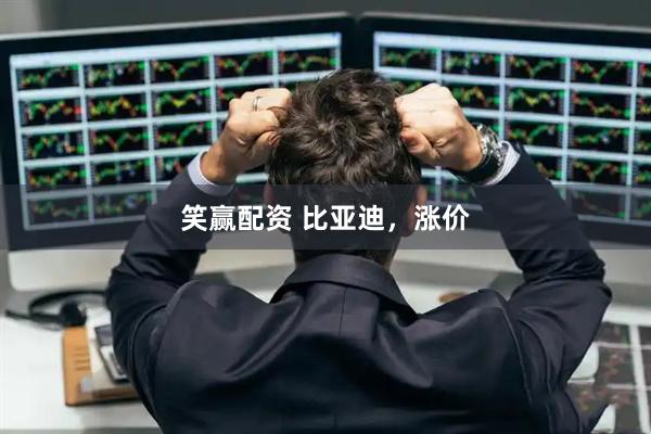 笑赢配资 比亚迪,涨价